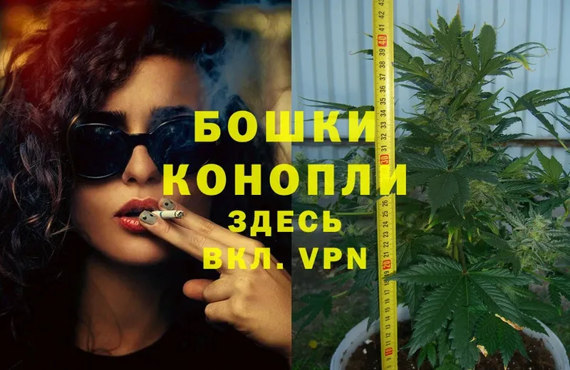 закладка  Богучар  Конопля Ganja 